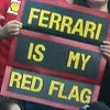 f.yxxf10
