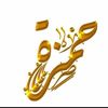 hamzawy11222
