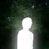 user_7169932911649