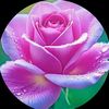 iam__obinna1