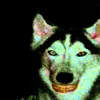 dobrayeutra