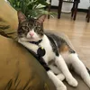 cumutnfriend