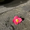userapld4nfb8t