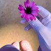 dr_nona92