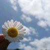 _.papatya21._