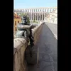 freddygiulianosua