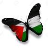 saveourpalestine_