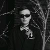 noahsmithers