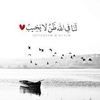 alamalalb3eed