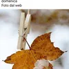 www.tiktokgiada