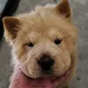 jude.enriquez11