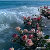pinkiess123
