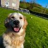 patrickfinnegan26