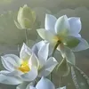 userzqg1p6rh5r