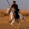 چوہدری_علی_بھوجپور