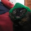 supakitty2000