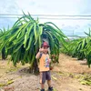 changtraidangam