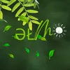 everythingintime8