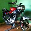 jokoabis