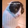 letscatcreate