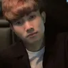 chanhnguyen195