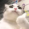 thanhdatle97