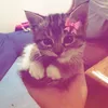laulovesmusic_