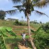 Petualang_abal2
