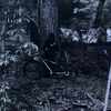 tsufernotfound