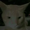 irwahyu_kuat