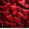 _ceyla_02_02