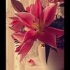 ohoud3322