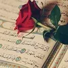 elhamalhyali