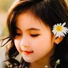 user.gulfam