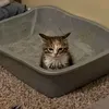 zloy_majlbchik