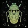 toads4sale