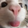 mimi.dobeng