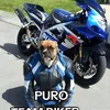 samuelsanchez5