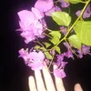 30_serendipity