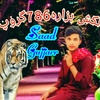 saadgujjar8695