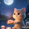 quyen.q.q