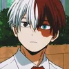 todoroki1446