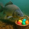 pubgfish