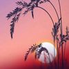 kimo_1405