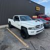 that_white_ram_1500