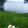 hesenova.._