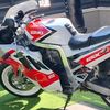 liormaabari726