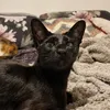 txzmanixndevil