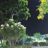 aliadossempre