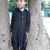 fahad.noor